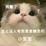小橘猫睡大觉