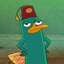 ♥Perry the Platapus♥