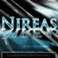 NiReaS