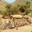 a small Ethiopian village