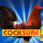 The Cock Warrior