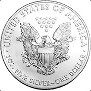 SilverEagle55