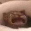 der