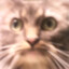 xnuget