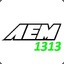 aem1313