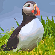 Captain Callum avatar