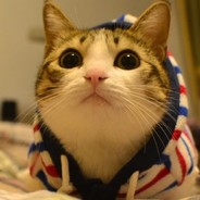is cat