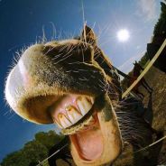Moneo - steam id 76561197960468281