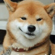 伯乐见了都说好