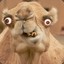 theSpecial_Camel