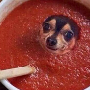 ⸢Soup Dog⸥