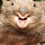 Ballistic_Wombat