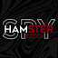 The Hamster Spy