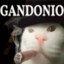 Gandonio