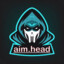 aim.head