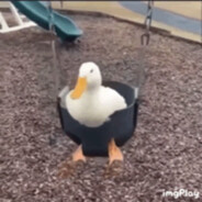 Globuuu_