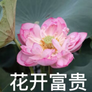 蜡笔小辉