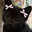 Cat (Girl)