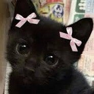 Cat (Girl)