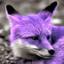 PurpleFox