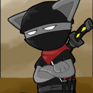 N1njaCa7 ＼(＾▽＾)／