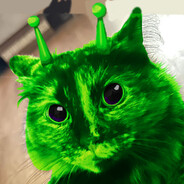 Avatar snapshot