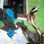 ant warrior #7704996