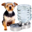 Dogwater