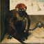 knuckle-dragging anthropoid