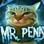 MR PENIS