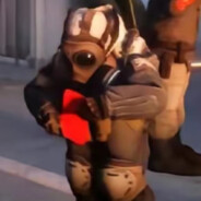 城建张弘挺张狗