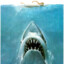 DoomedShark #2524
