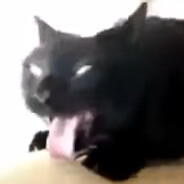 dsdssssssss