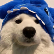 敏敏公主天下第一