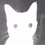Cat get Flashbanged