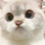 aikun
