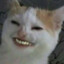 Malf