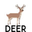 deer