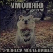 анальная пробка