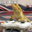 Gamer Lizard