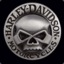 HDskull