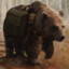 Tactical Wojtek