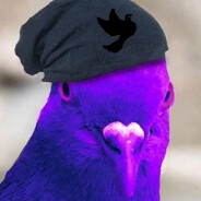 Полено_Рпавпр