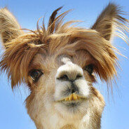 Gertruds cykelklub - steam id 76561199303346563