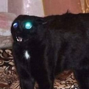 супер мега даун