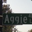 Aggie