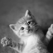 一念仓井便成空