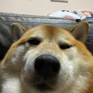 โบ้