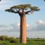 BaobaB