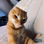 mlue